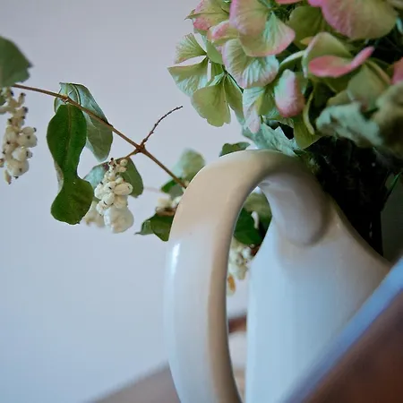 Guest house Casa Rosati 3*